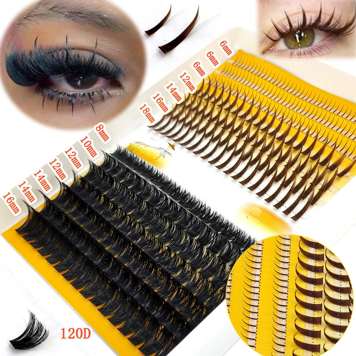 Crate Beauty Pretty Privilege Lash Set