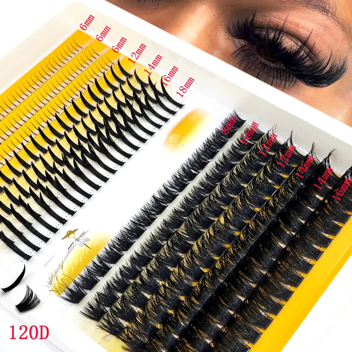 Crate Beauty Pretty Privilege Lash Set